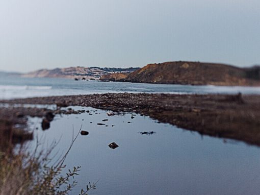 Earthshot Prize News